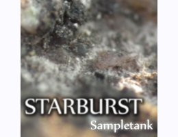Starburst ST for Sampletank