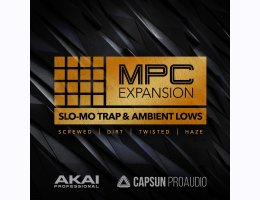 Slo-Mo Trap & Ambient Lows