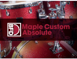 Maple Custom Absolute