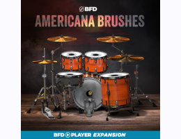 Americana Brushes (for BFD Player)