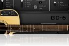 GD-6 Acoustic Guitar